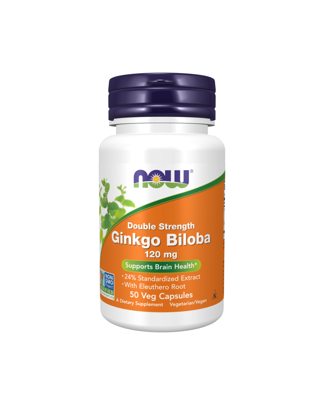 Double Strength Ginkgo Biloba 120 Mg 50 Capsules